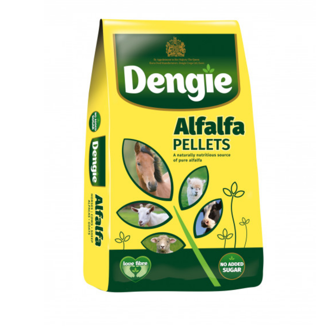 A New Design - Made with PosterMyWall (4)