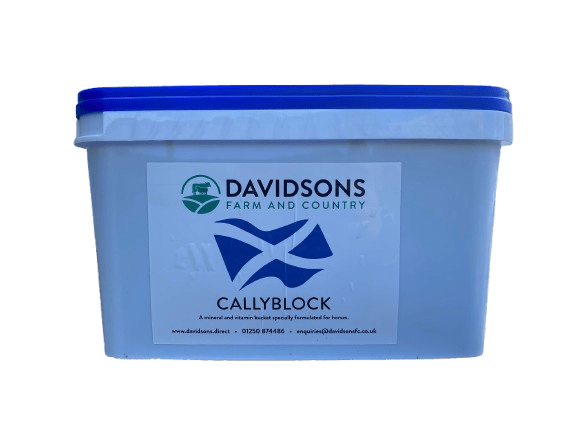 CALLY1_-removebg-preview