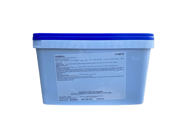 CQLLY2-removebg-preview