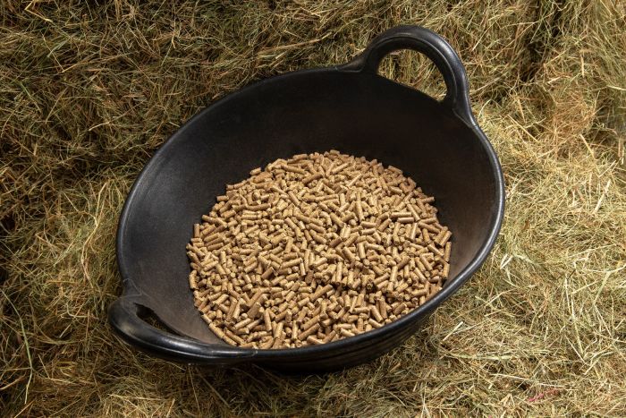 spillers_conditioning_cubes_lifestyle