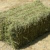 HAY SMALL BALE-0