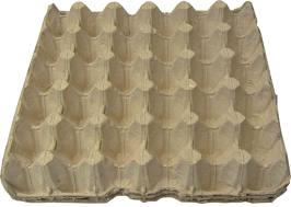 EGG TRAY GREY ( 30 EGG ) x 100-779