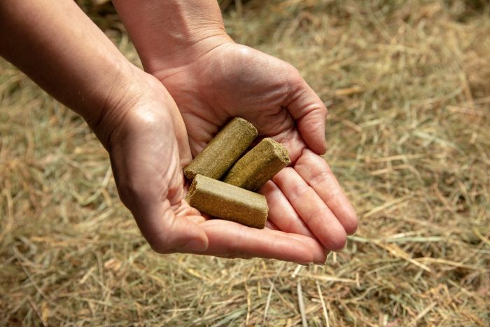 spillers_treats_lifestyle