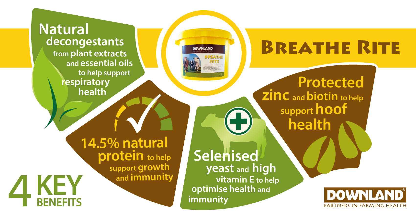 128256333_3209870042451926_5174903689080758611_o