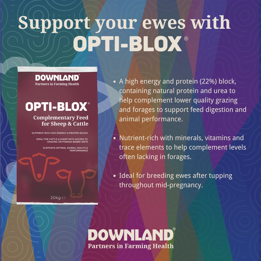 opti-blox-usp-social-media-graphic