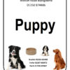 DAVIDSONS PREMIUM WORKING PUPPY 15KG-1603