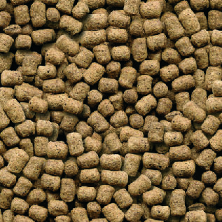 DAVIDSONS PREMIUM WORKING PUPPY 15KG-0