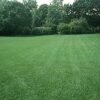 DOWNLAND MULTI PURPOSE LANDSCAPER 25KG-0