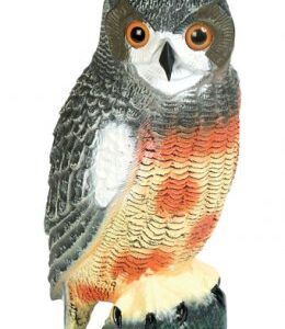 DECOY OWL-0