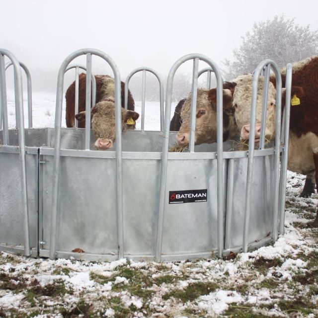 Cattle Heavy Duty Tombstone Feed Ring Davidsons Farm & Country