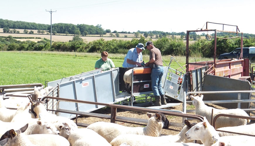 combi-clamp-resized-images-p4-870x500-1