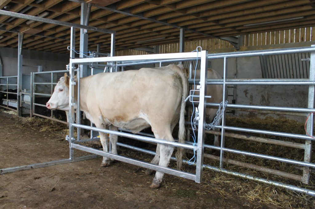 DELUXE-PHOTO-3-1-1024x682