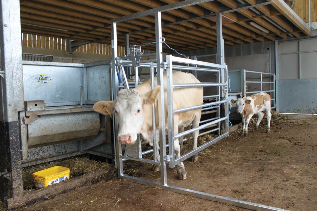 DELUXE-PHOTO-4-1-1024x682