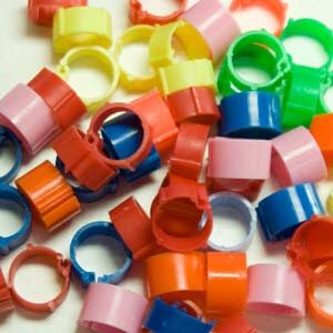 CLIC POULTRY LEG RINGS DARK BLUE 16MM -0