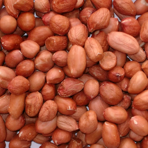 PEANUTS 25KG-0