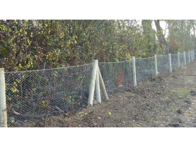 RABBIT WIRE 1050mm x 50m-3275