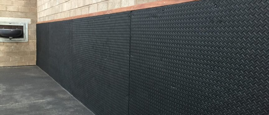 wall-eva-865x370 (1)