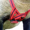 MATING MARK NYLON RAM HARNESS-3965