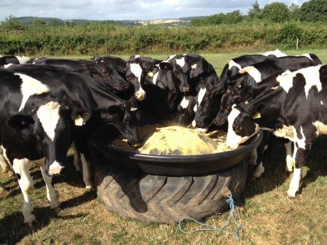 JFC RFL 2 ROUND FEEDER-0 JFC RFL 2 ROUND FEEDER-0