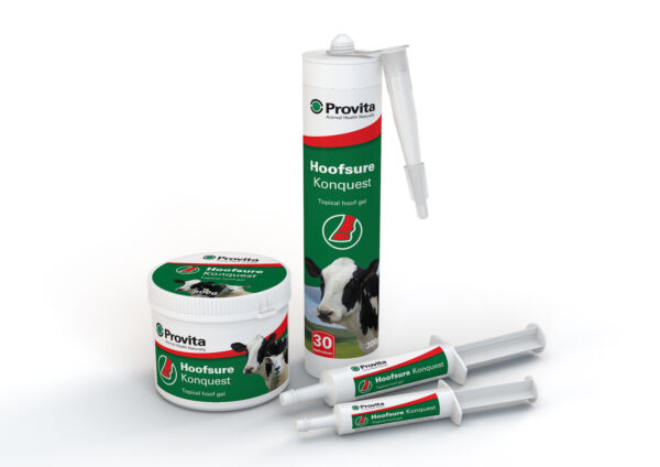PROVITA KONQUEST GEL 30G TUBE-0