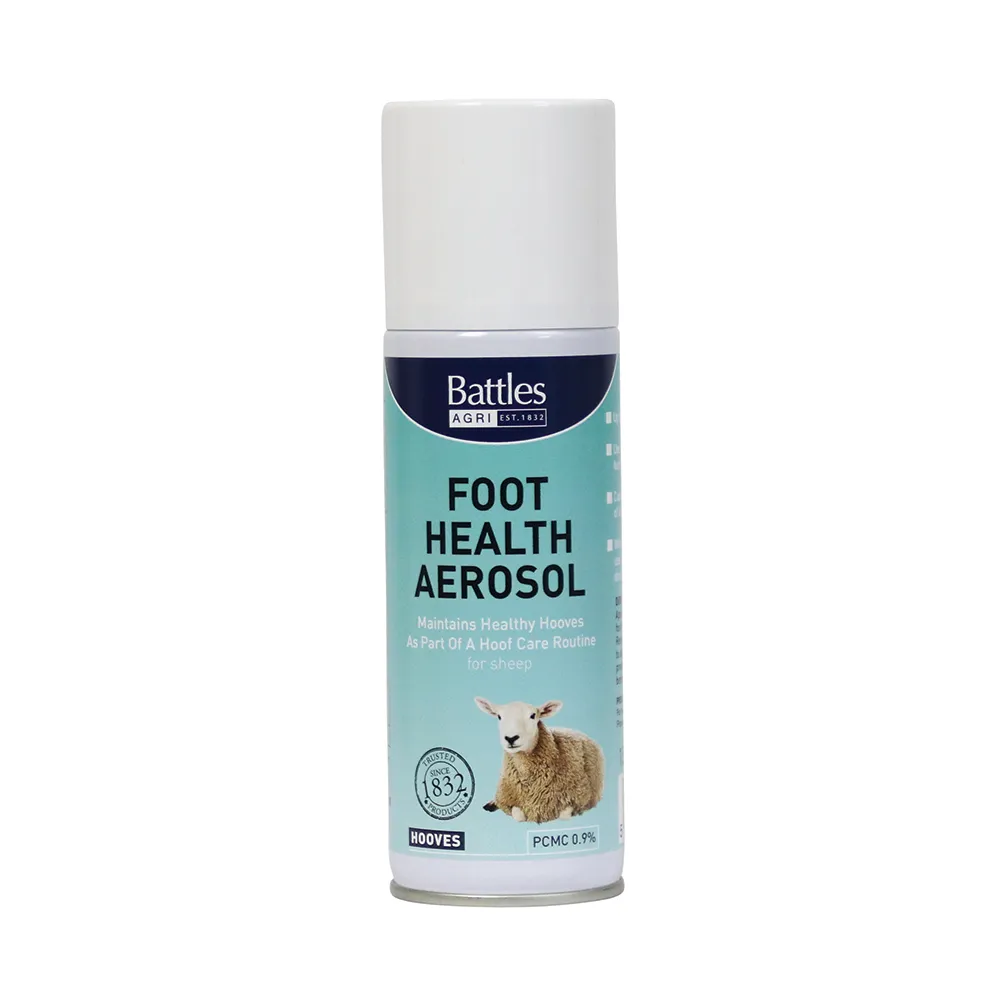 1717505236-2268-Battles-Foot-Health-Aerosol-150g-01