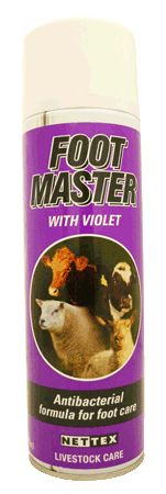 NETTEX FOOTMASTER AEROSOL 250ML-0