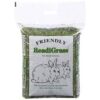 READIGRASS SMALL ANIMAL 1KG-0