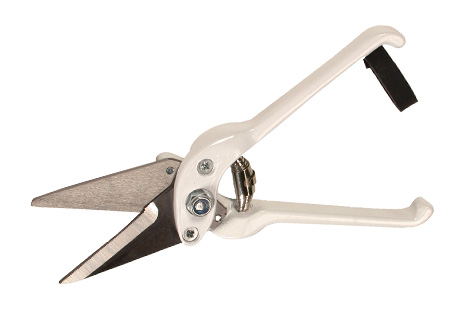 BURGON & BALL PROFESSIONAL FOOTROT SHEARS-0