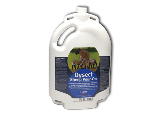 DYSECT SHEEP POUR ON 5L-0 DYSECT SHEEP POUR ON 5L-0