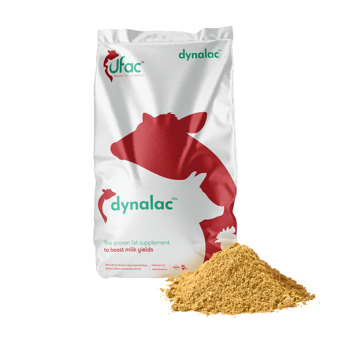 1080px-Pack-shots_Dynalac