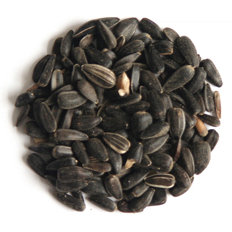 BLACK SUNFLOWER SEED 12.75KG-0 BLACK SUNFLOWER SEED 12.75KG-0