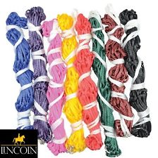 LINCOLN STANDARD HAYNET-0