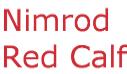 NIMROD RED CALF SYRINGES 6 X 15.6G-6794