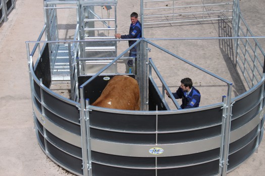 IAE PORTABLE ROTEX CATTLE HANDLING SYSTEM-0