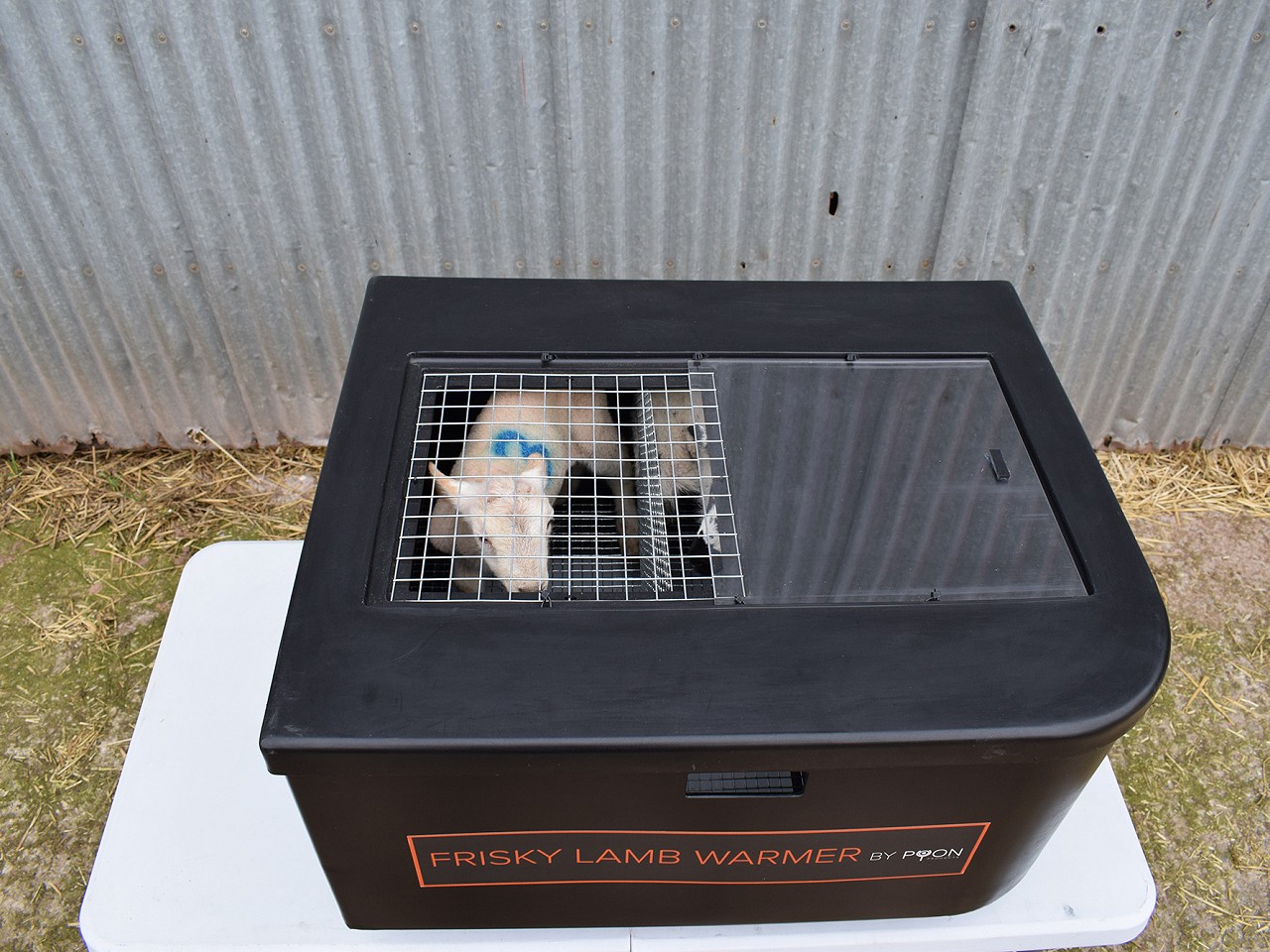 dsc0032-w800h600@1.6x