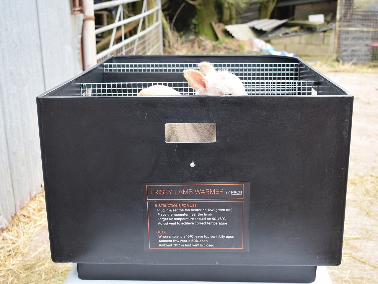 dsc0040-w800h600@1.6x