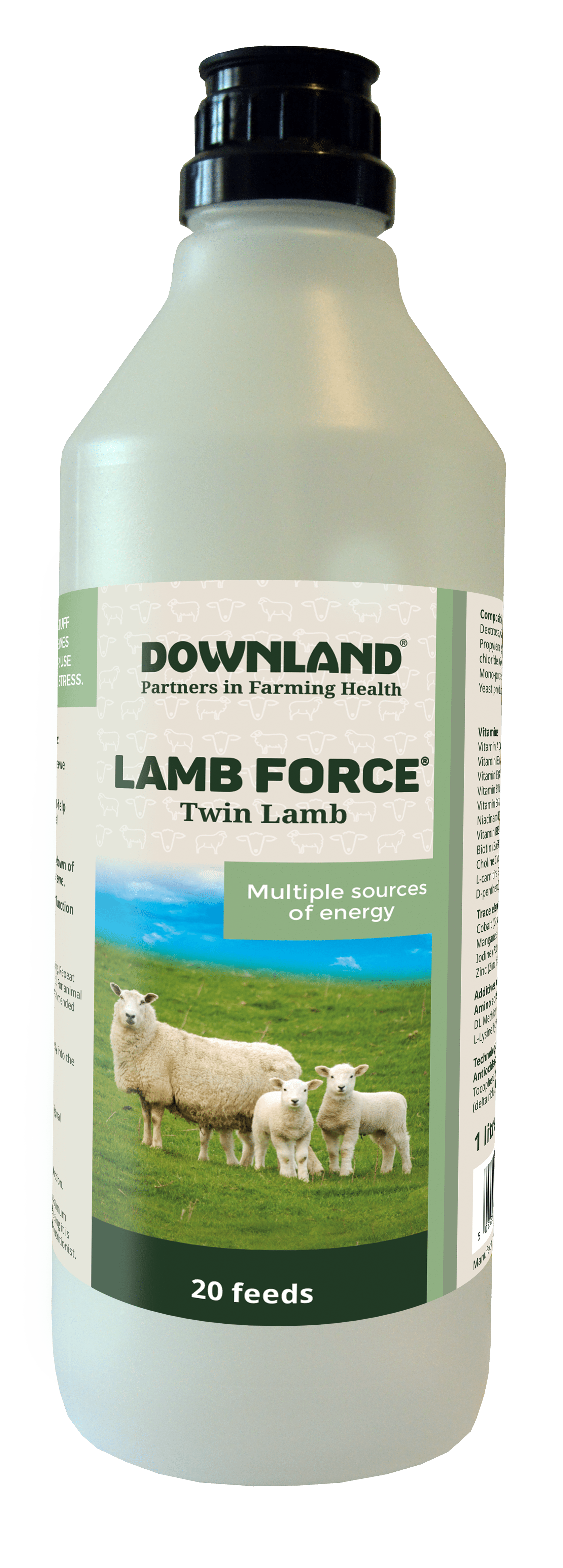 Twin_lamb_20_feeds