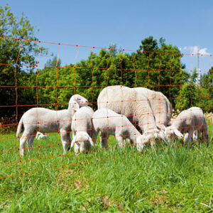 Hotline Sheep Net 50m