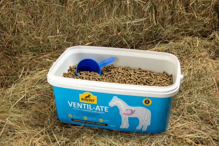 winergy_ventilate_lifestyle