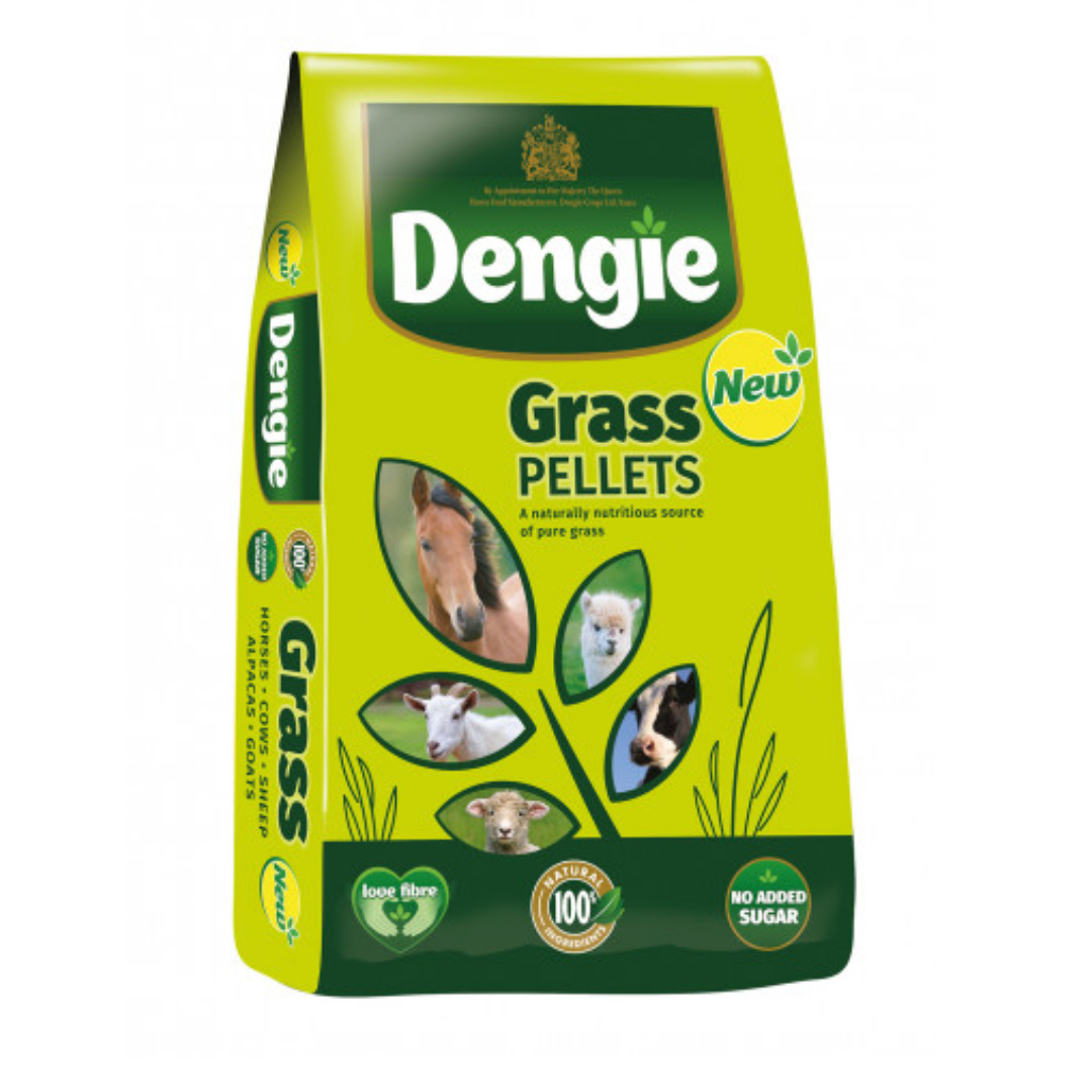 A New Design - Made with PosterMyWall (7)