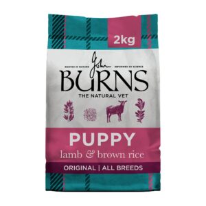 Burns Original Puppy Lamb & Brown Rice 2kg