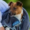 HENRY WAG PET TOWEL SMALL-8130