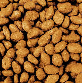 DAVIDSONS SALMON & POTATO SMALL BREED 12KG-0