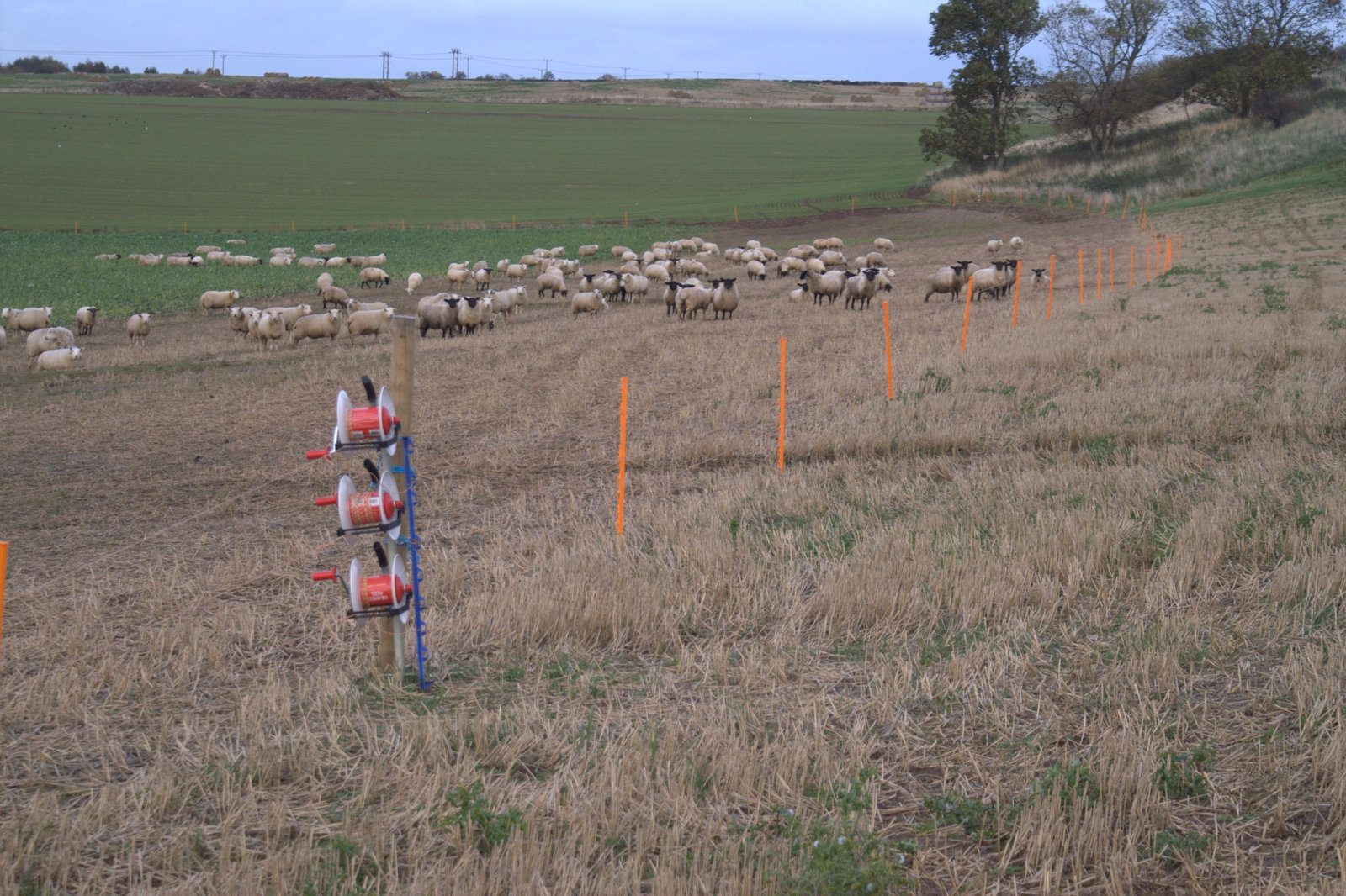 KONICA MINOLTA DIGITAL CAMERA