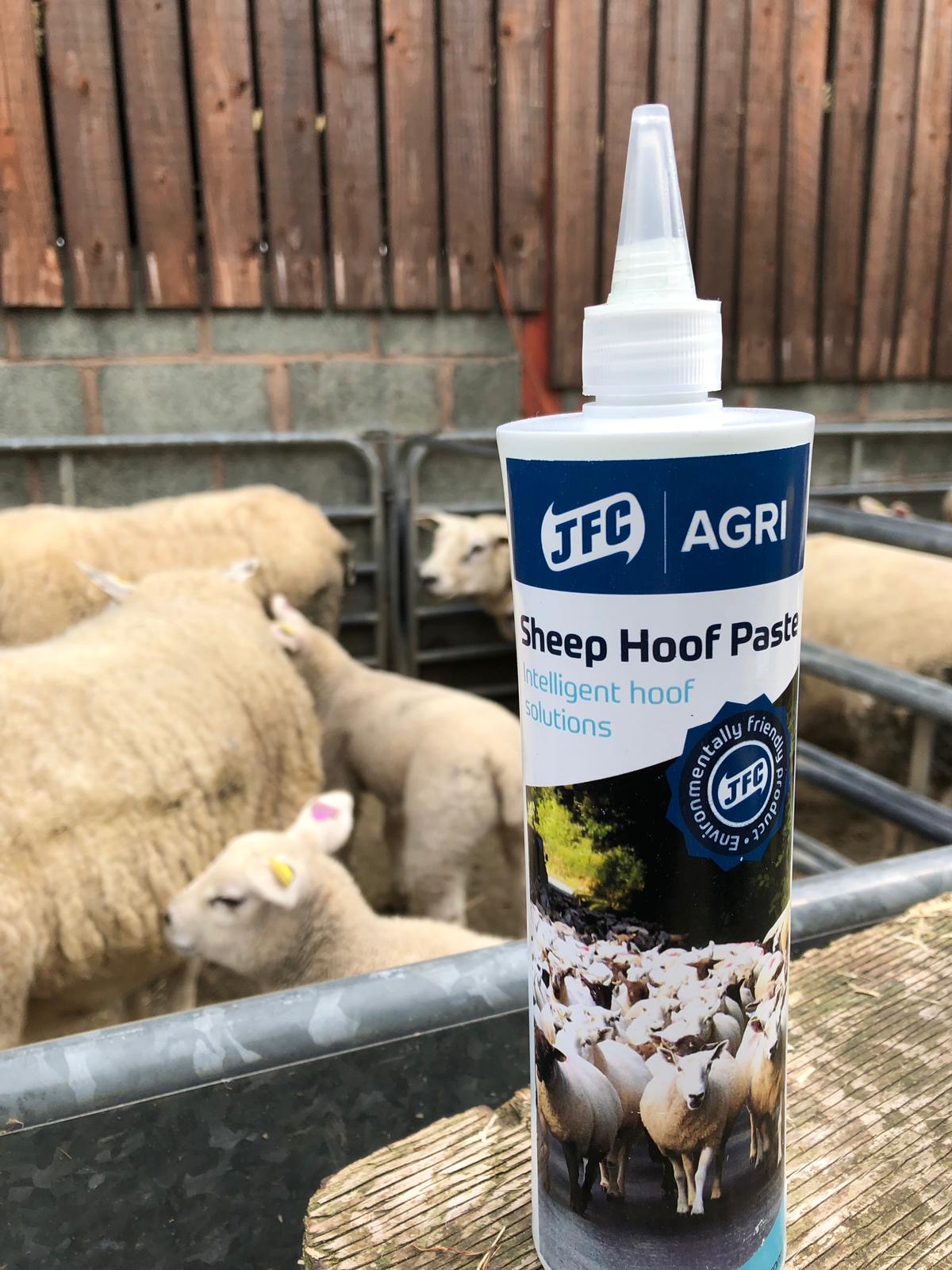 hoof Paste with Sheep in the background
