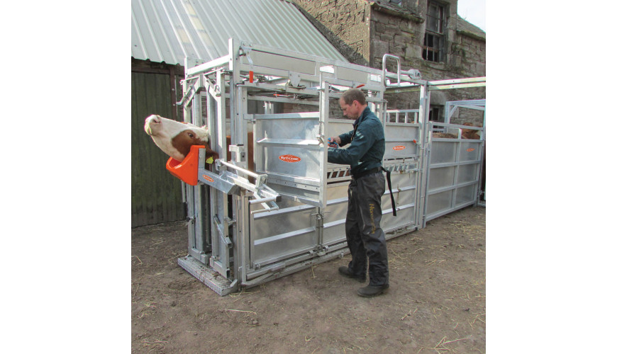 311g Squeeze Crate new Sutties Farm 58-870x500