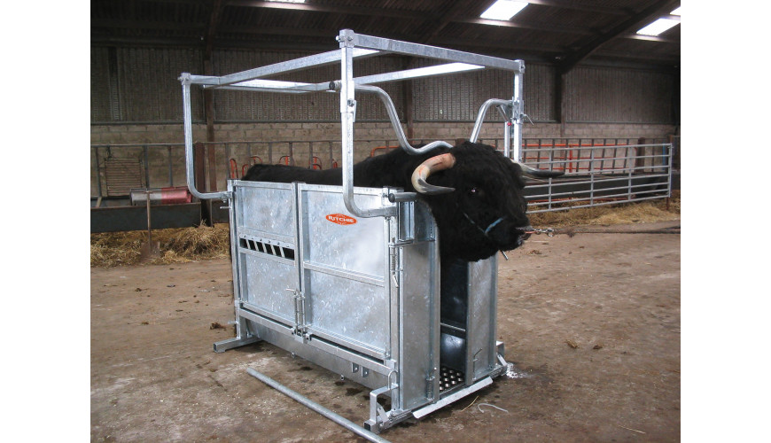 337G Highland Cattle Handling Crate-870x500