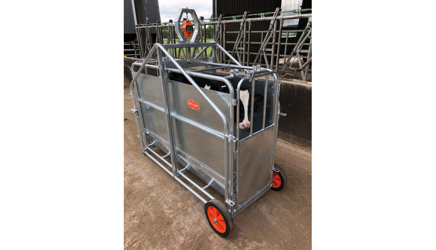 345G Calf Weighing Crate-870x500
