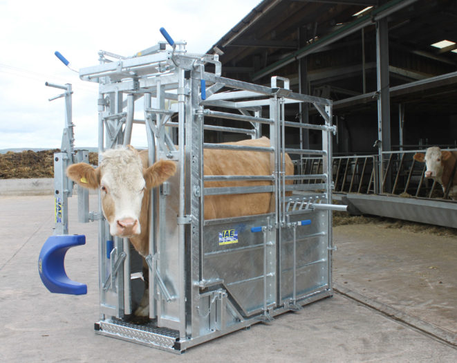 IMG_8268-v1-1-661x525