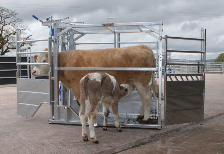 IMG_8287-v1-1-760x525